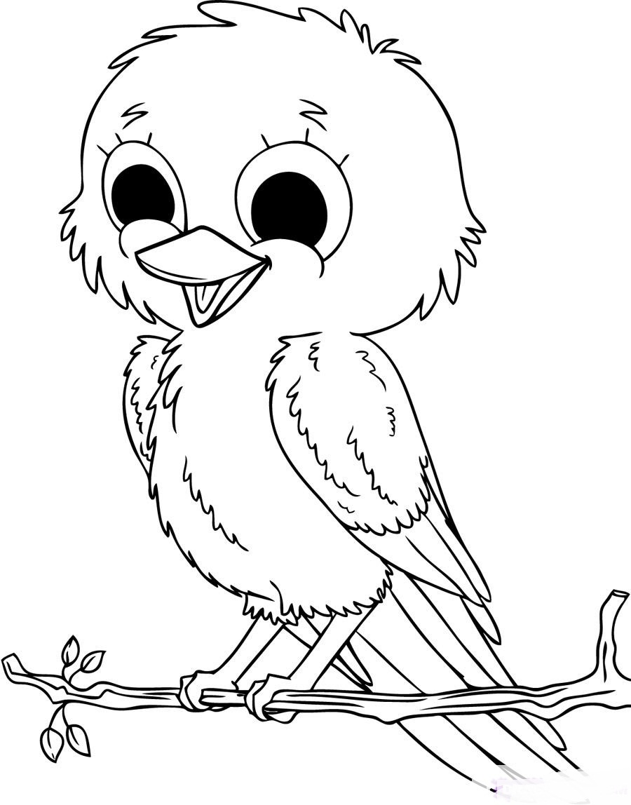 Birds Coloring Page 13