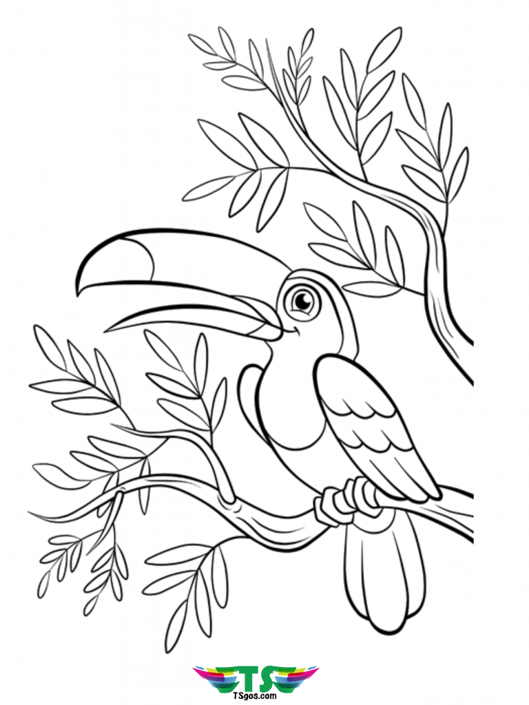 Birds Coloring Page 17