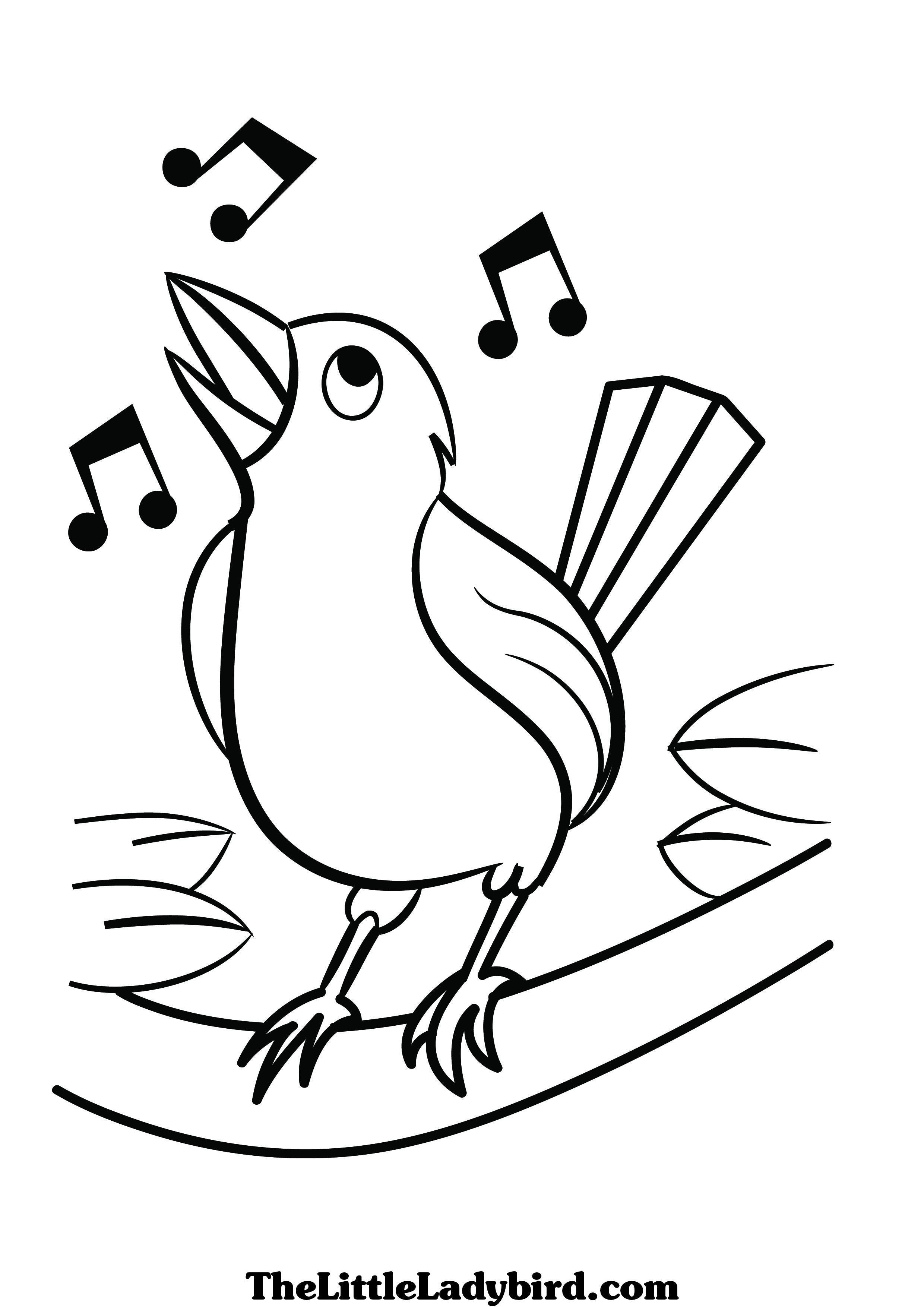 Birds Coloring Page 35