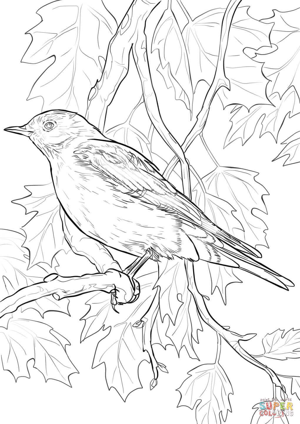 Birds Coloring Page 37