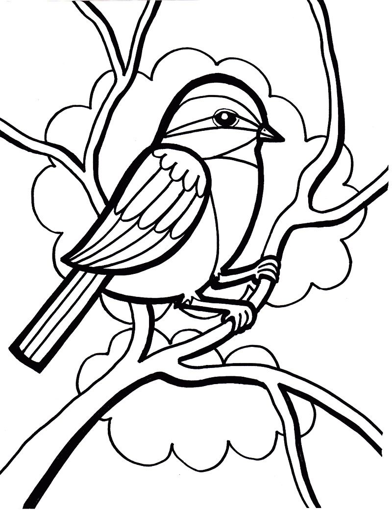 Birds Coloring Page 38