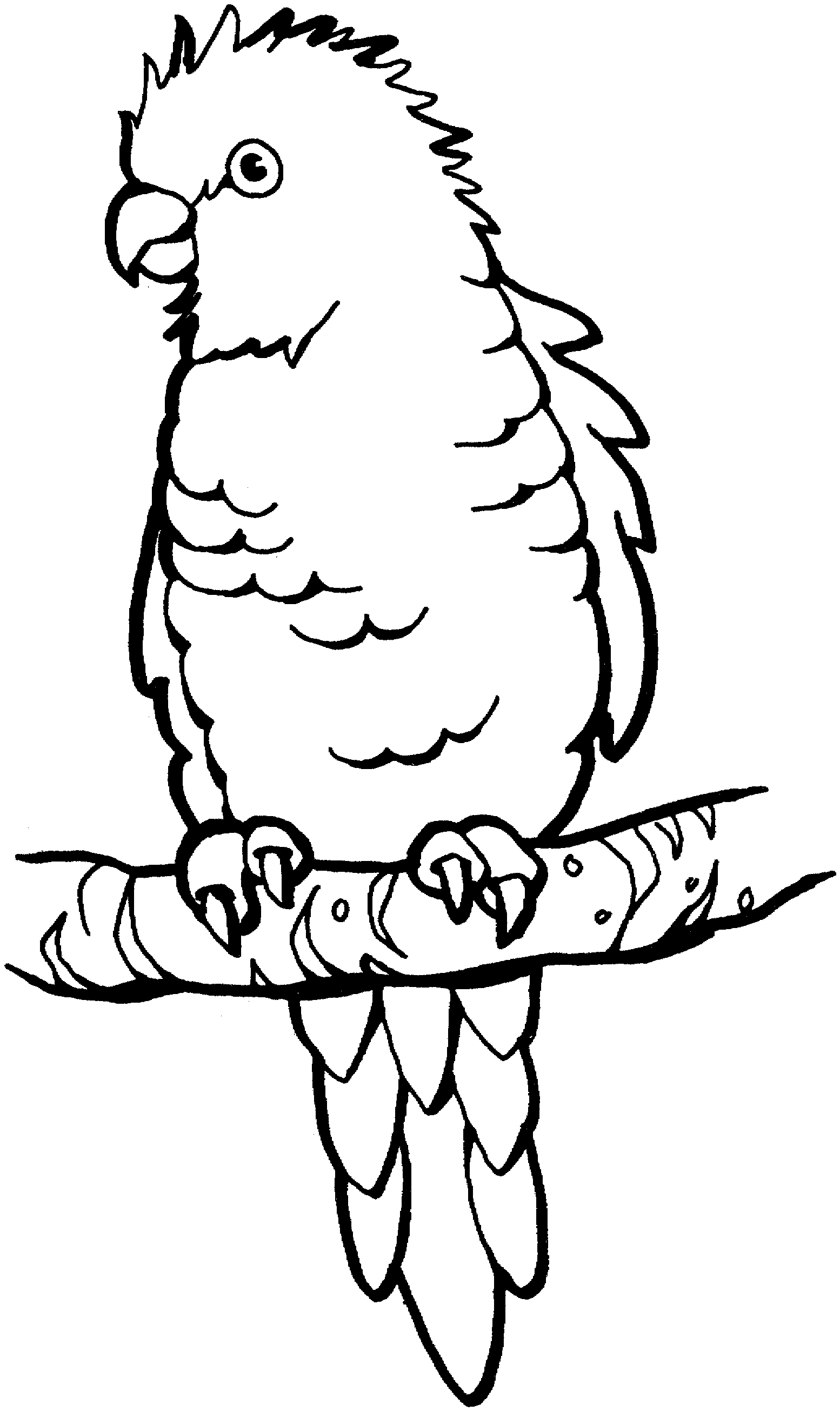 Birds Coloring Page 39