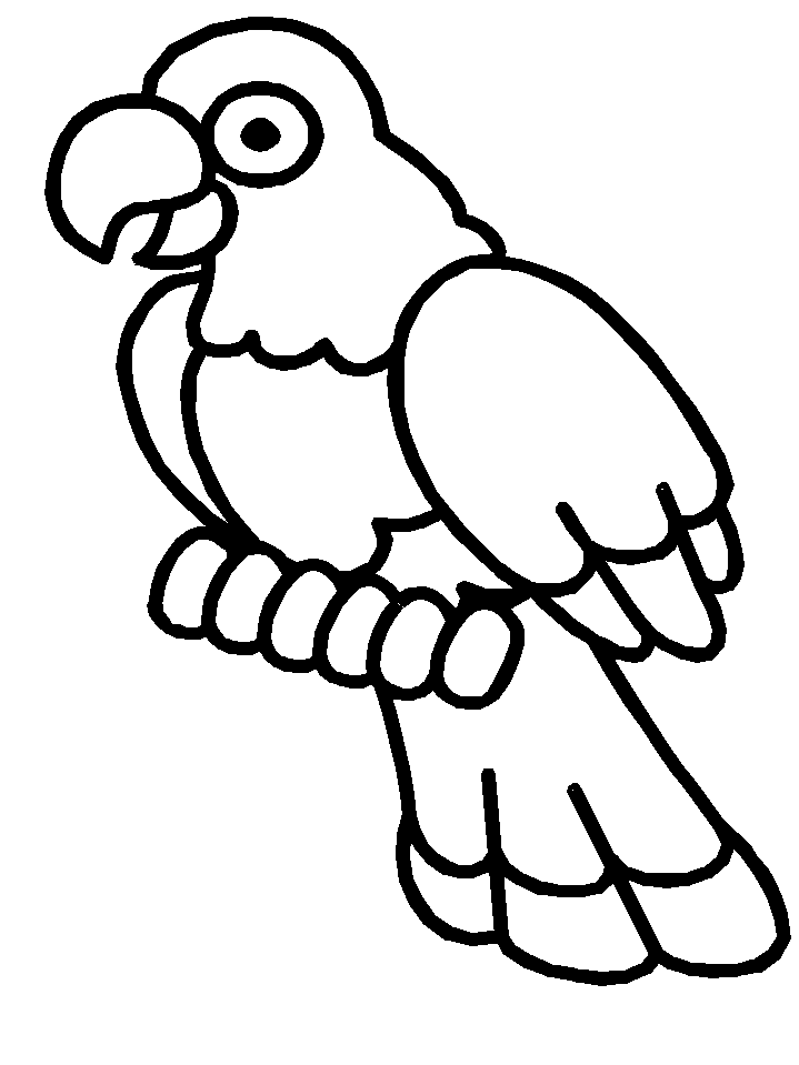 Birds Coloring Page 42