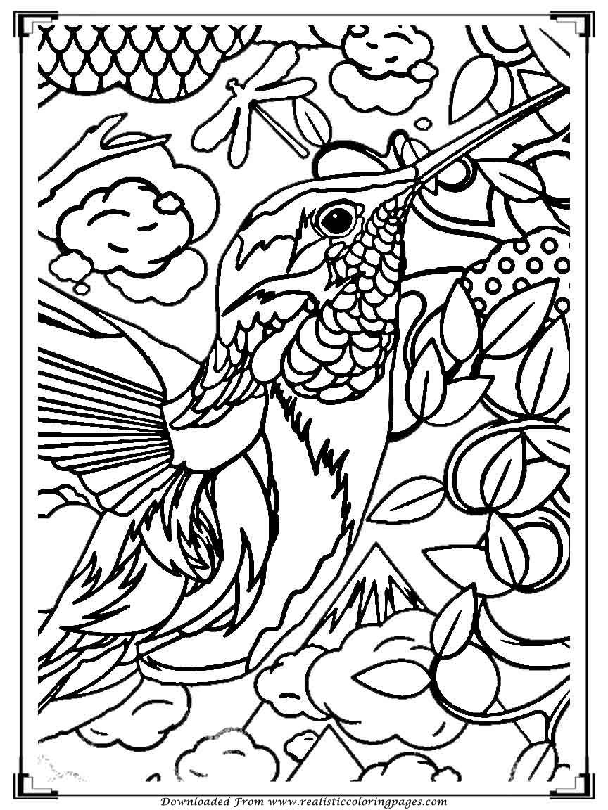 Birds Coloring Page 43