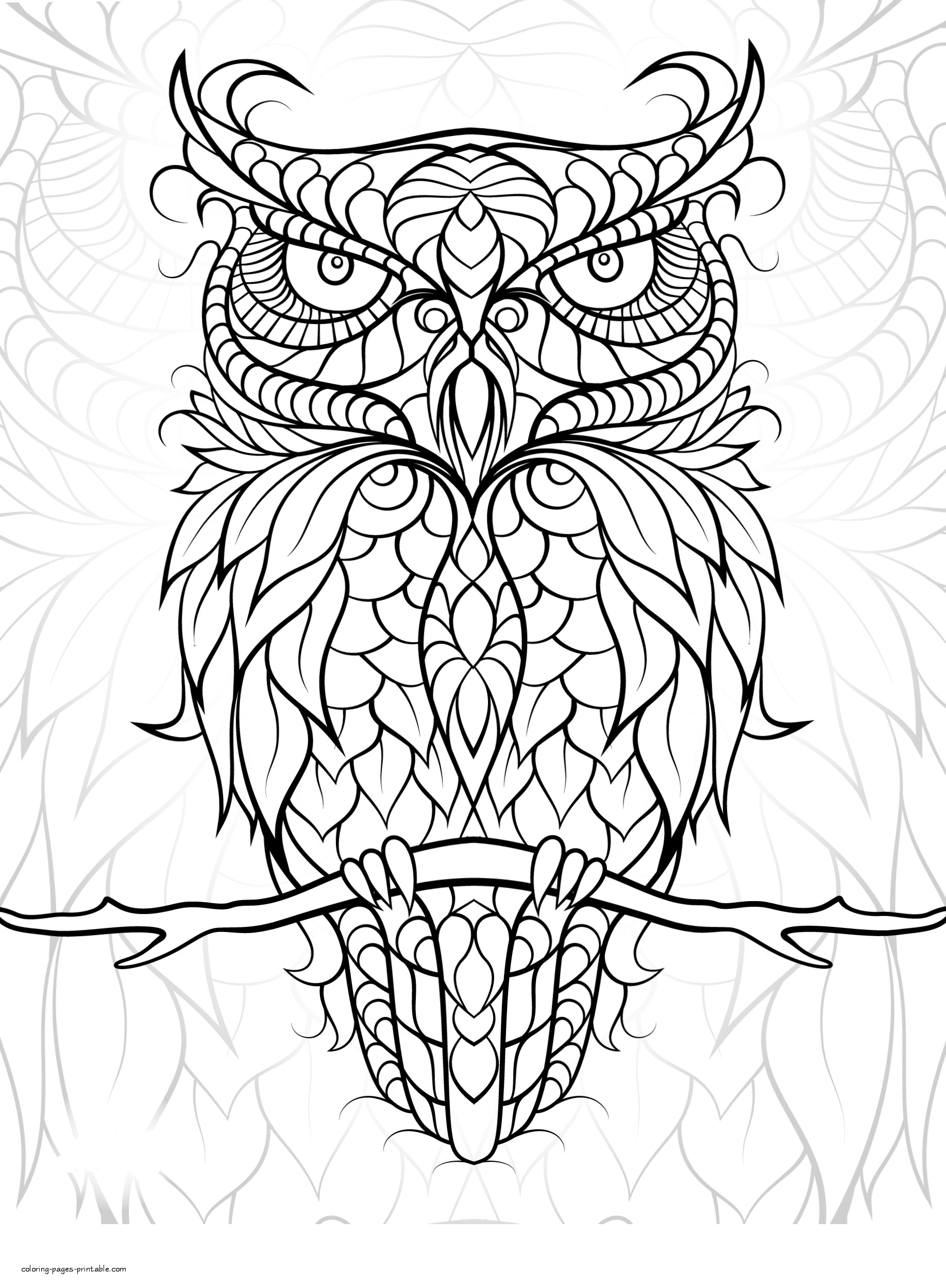 Birds Coloring Page 46