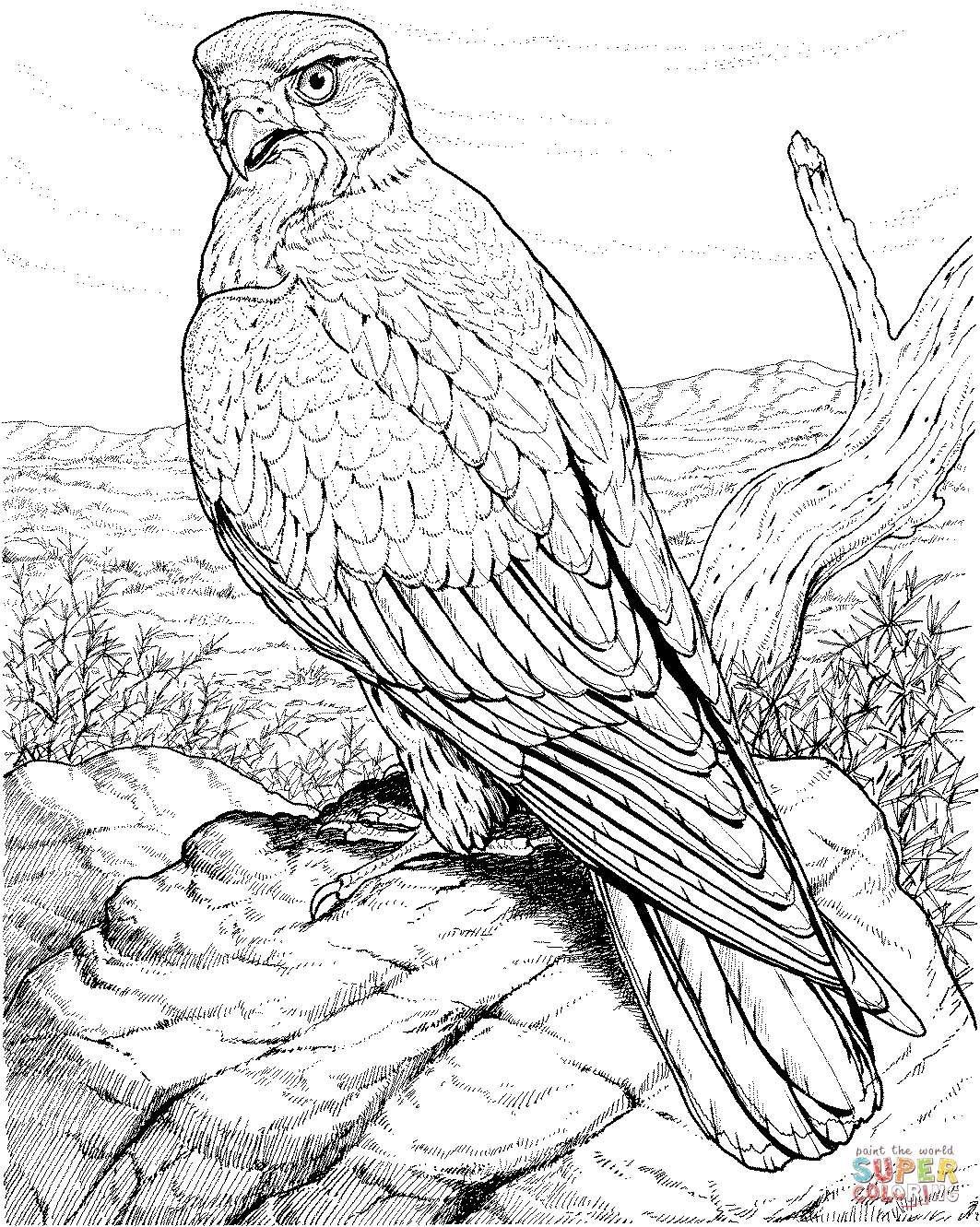 Birds Coloring Page 84