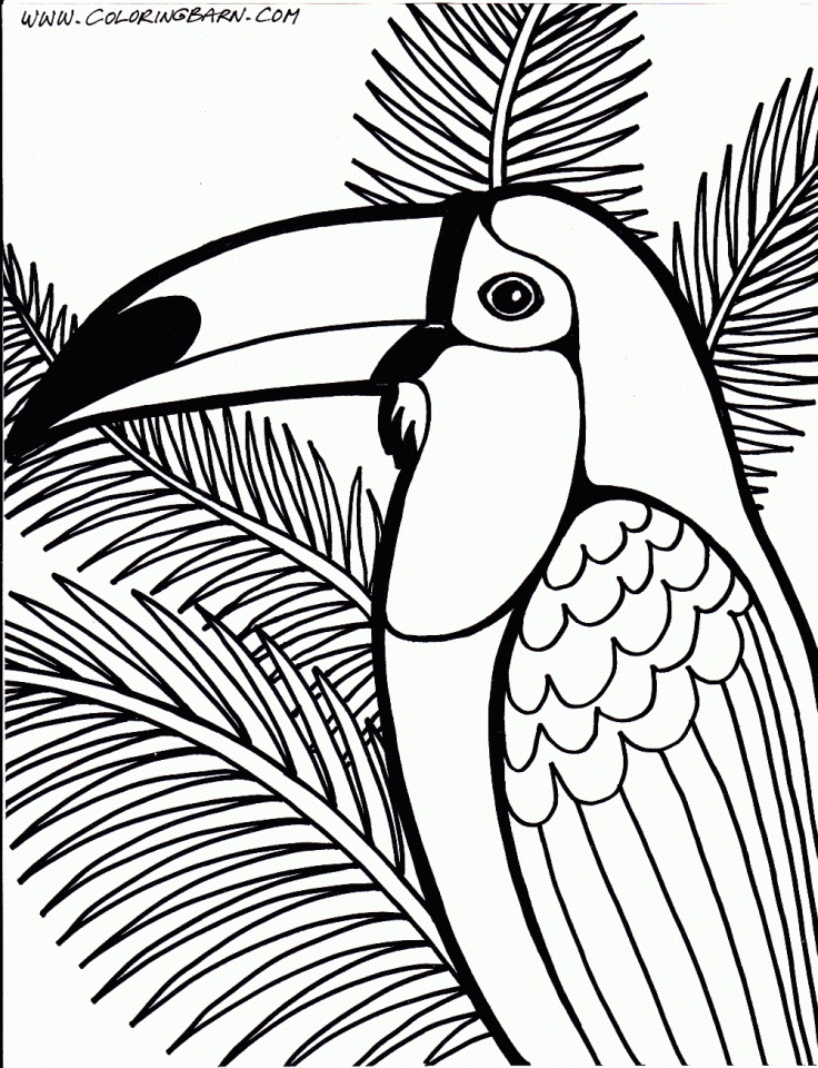 Birds Coloring Page 85