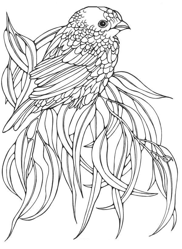 Birds Coloring Page 86