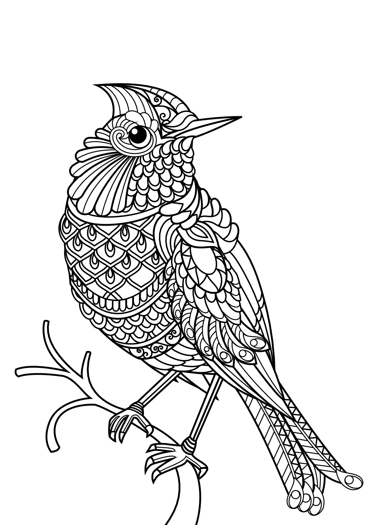 Birds Coloring Page 87