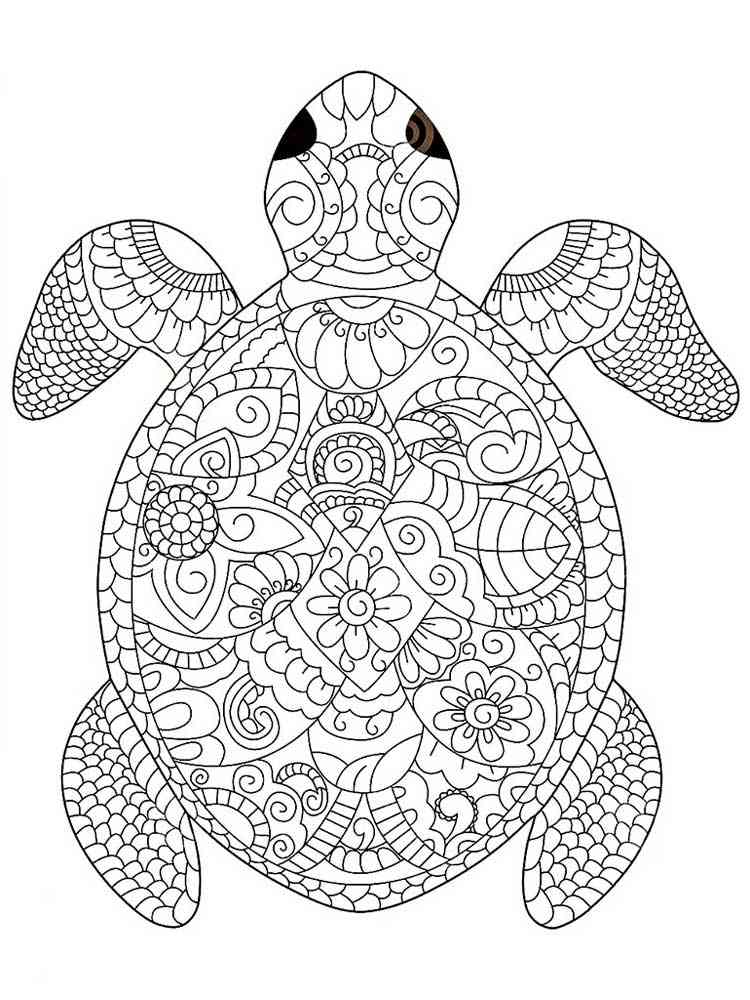 Coloring Sheets Turtle 2