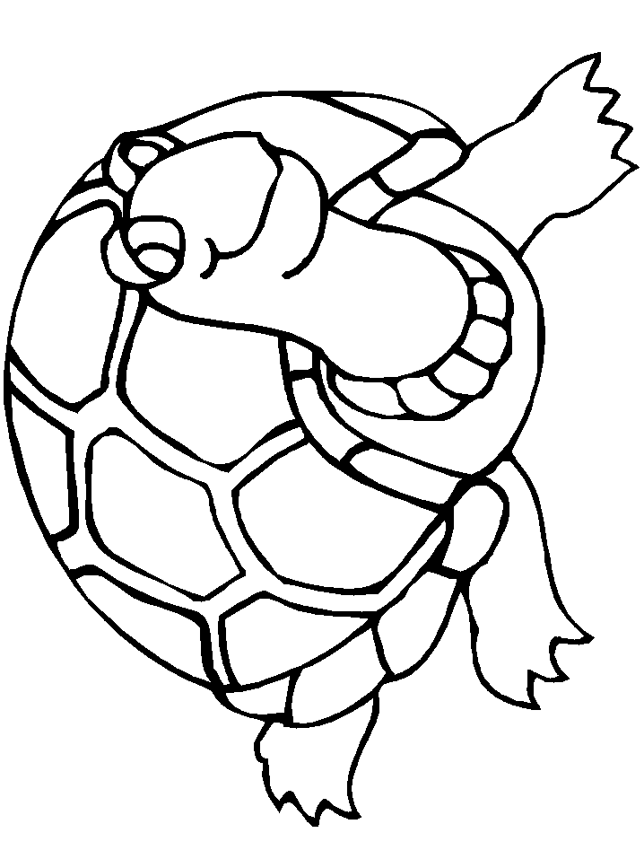 Coloring Sheets Turtle 31