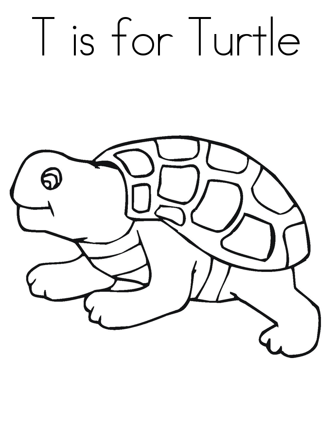 Coloring Sheets Turtle 34