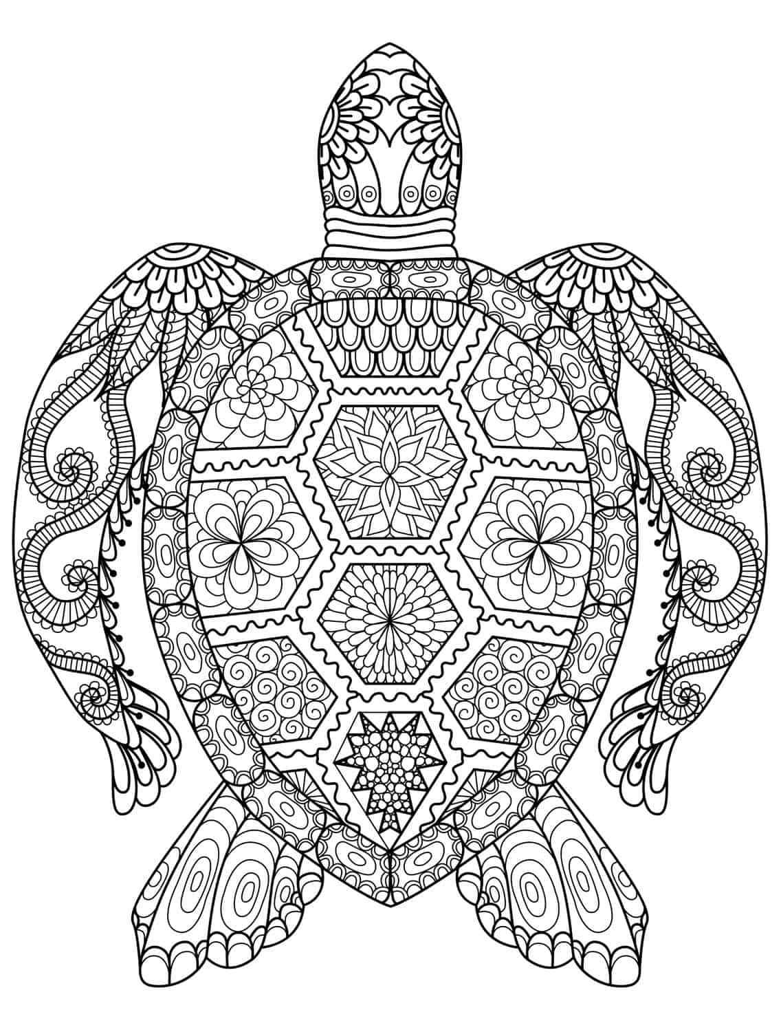 Coloring Sheets Turtle 37