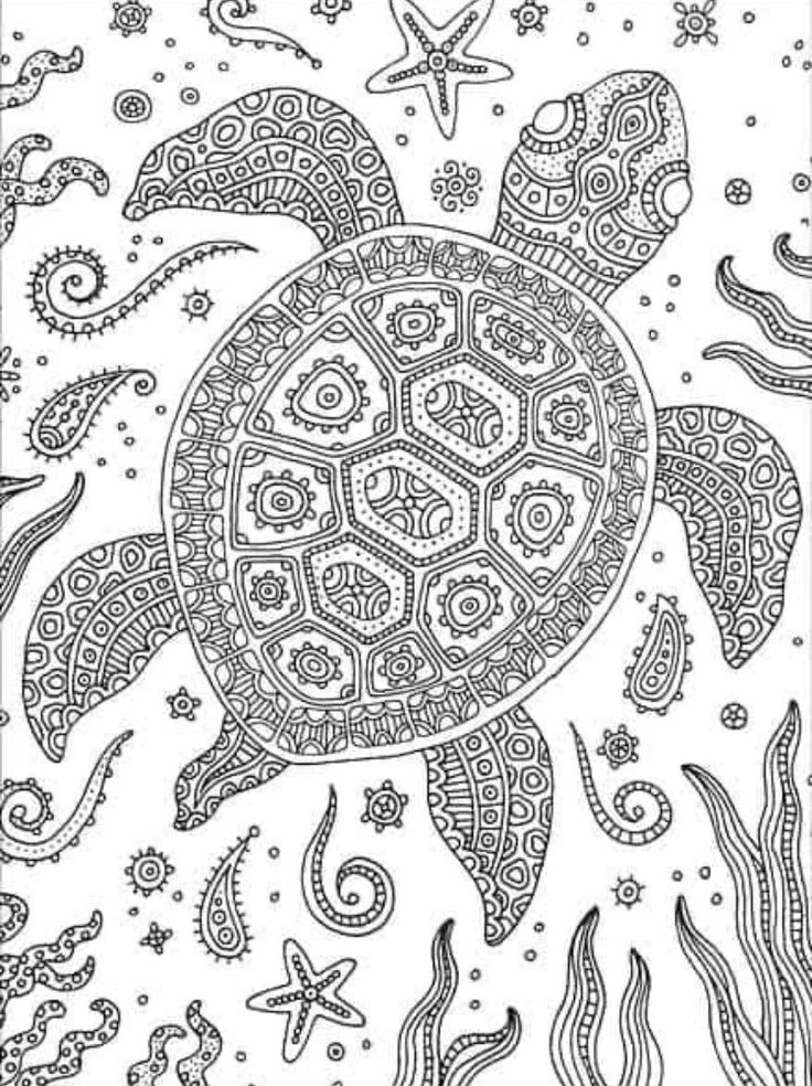 Coloring Sheets Turtle 7