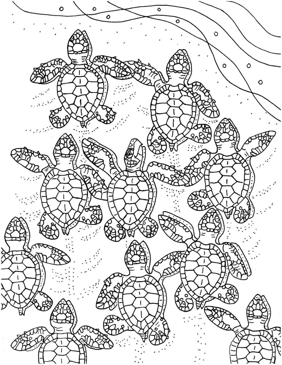 Coloring Sheets Turtle 91