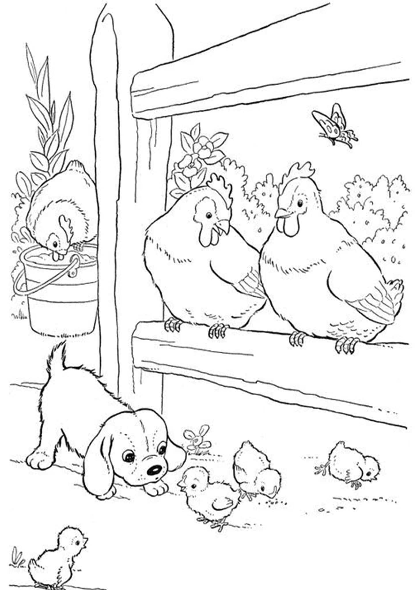 45 Coloring Page Chicken 18