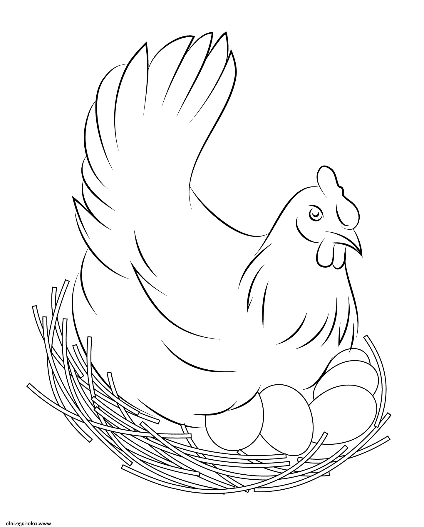 50 Coloring Pages Chicken 16