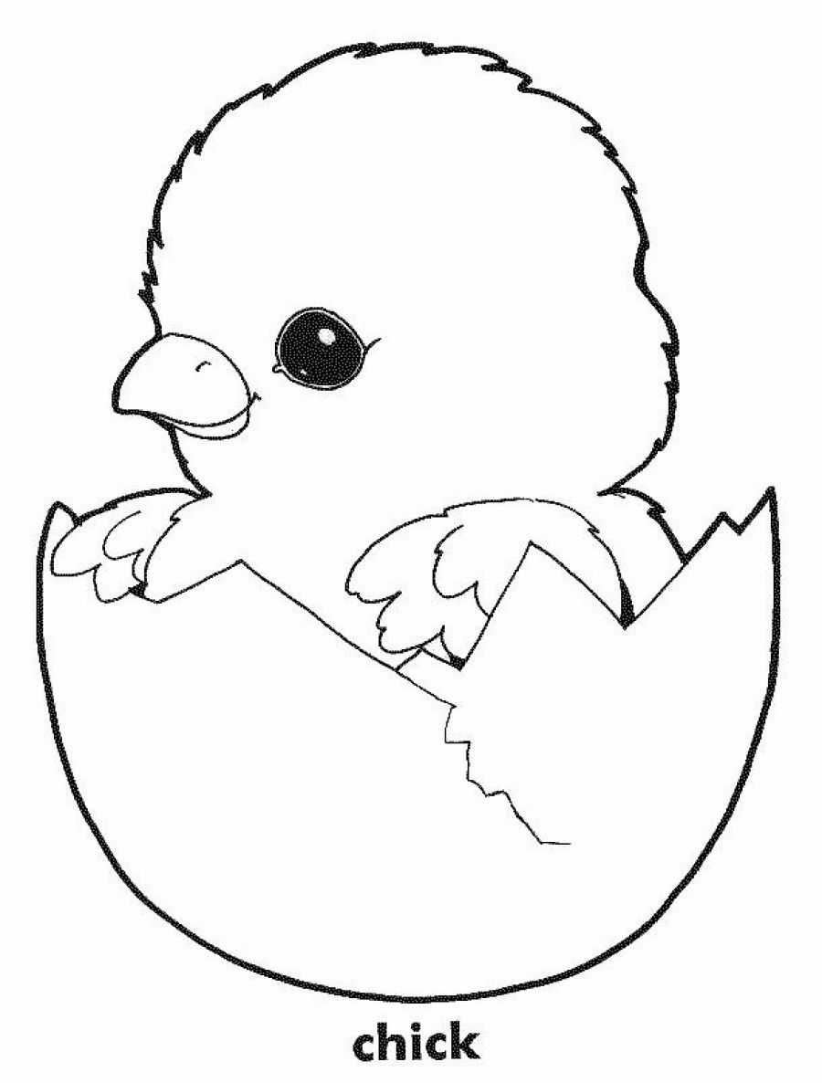 50 Coloring Pages Chicken 17