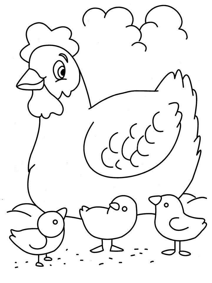 50 Coloring Pages Chicken 26