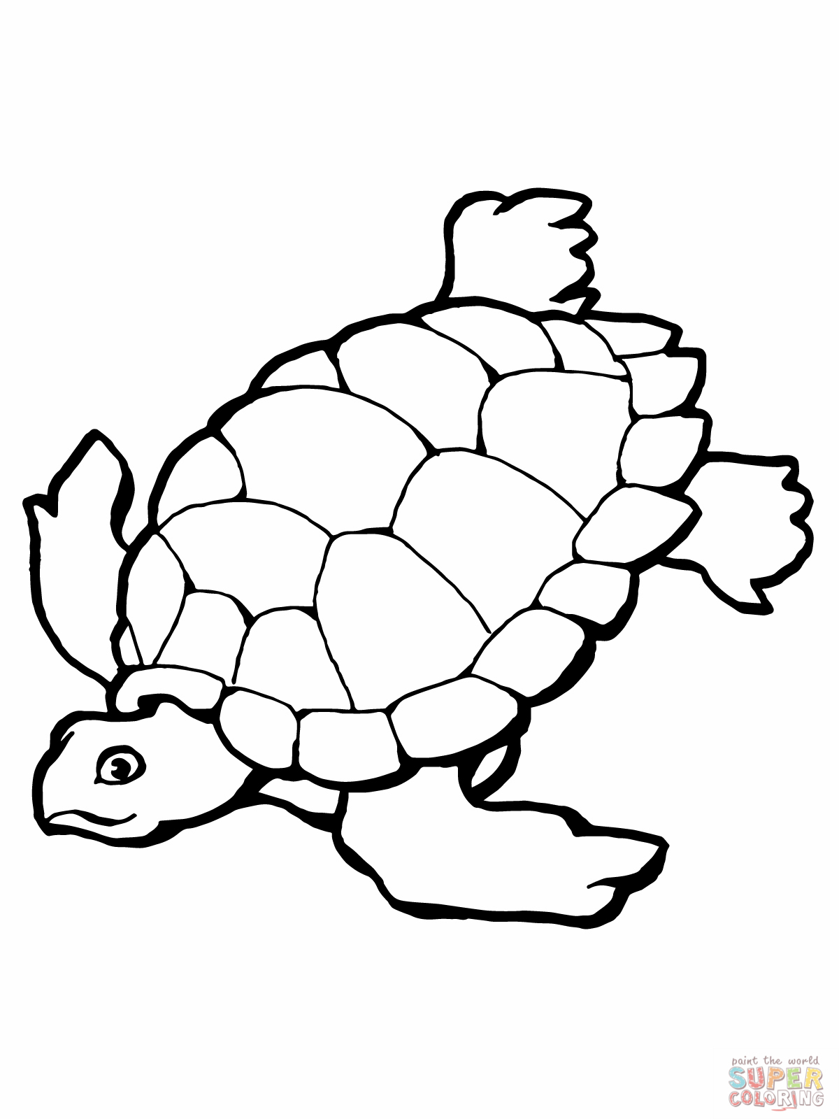 55 Free Turtle Coloring Pages 16