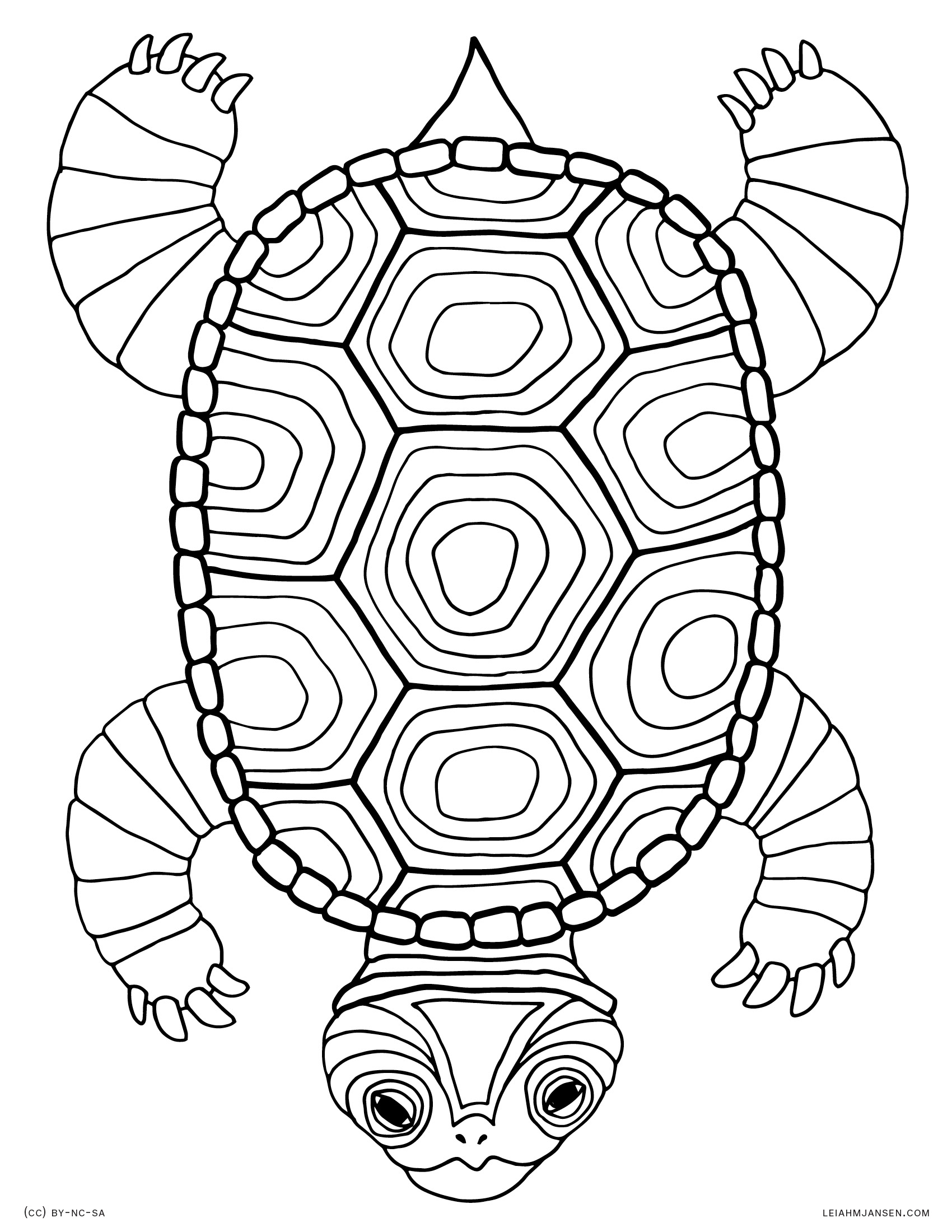 55 Free Turtle Coloring Pages 18