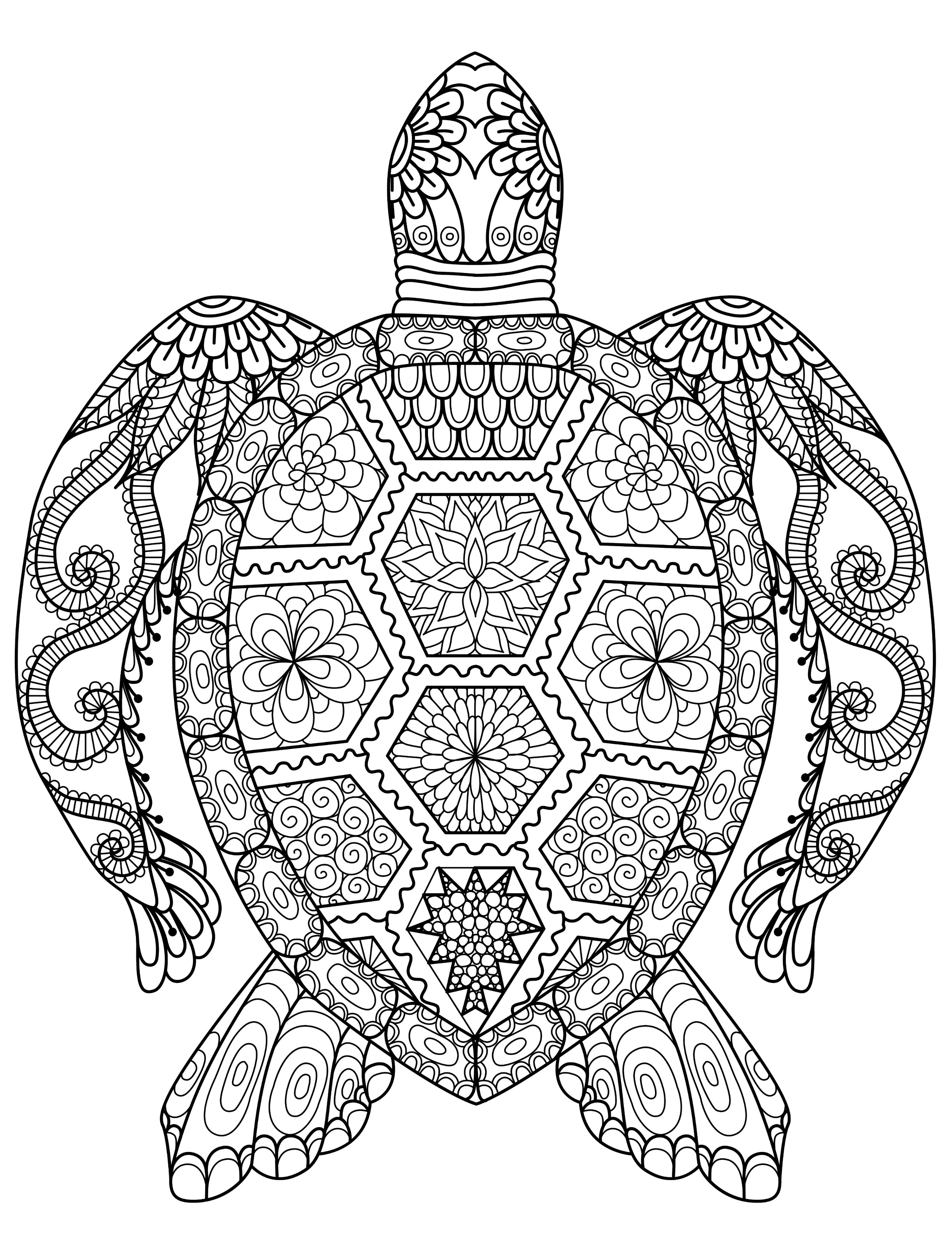 55 Free Turtle Coloring Pages 20