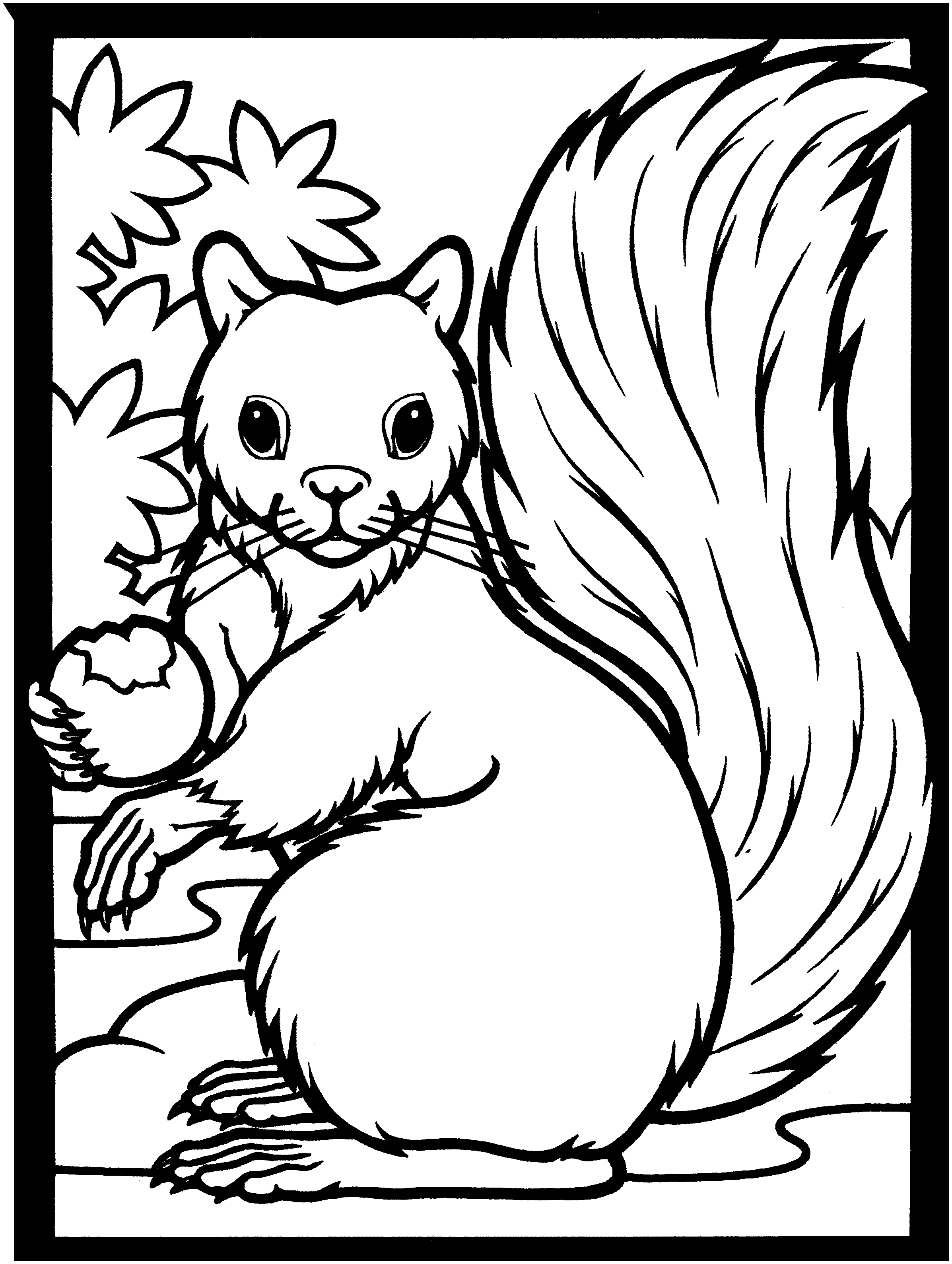 60 Coloring Page Squirrel 1