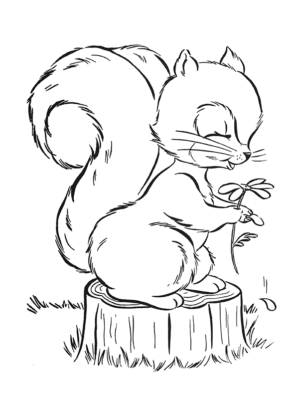 60 Coloring Page Squirrel 2