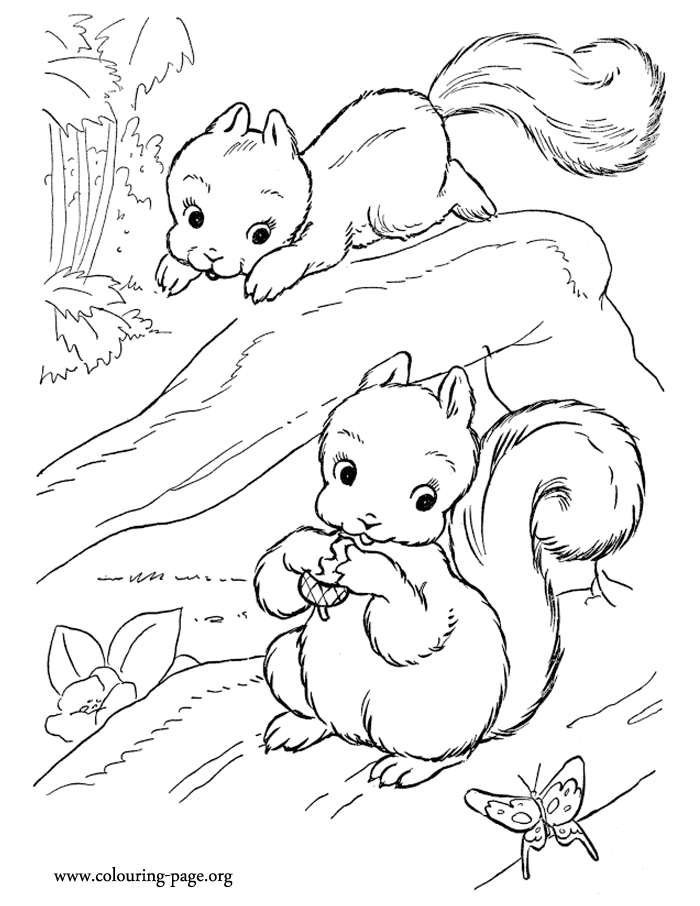 60 Coloring Page Squirrel 4