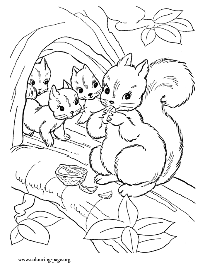 60 Coloring Page Squirrel 5