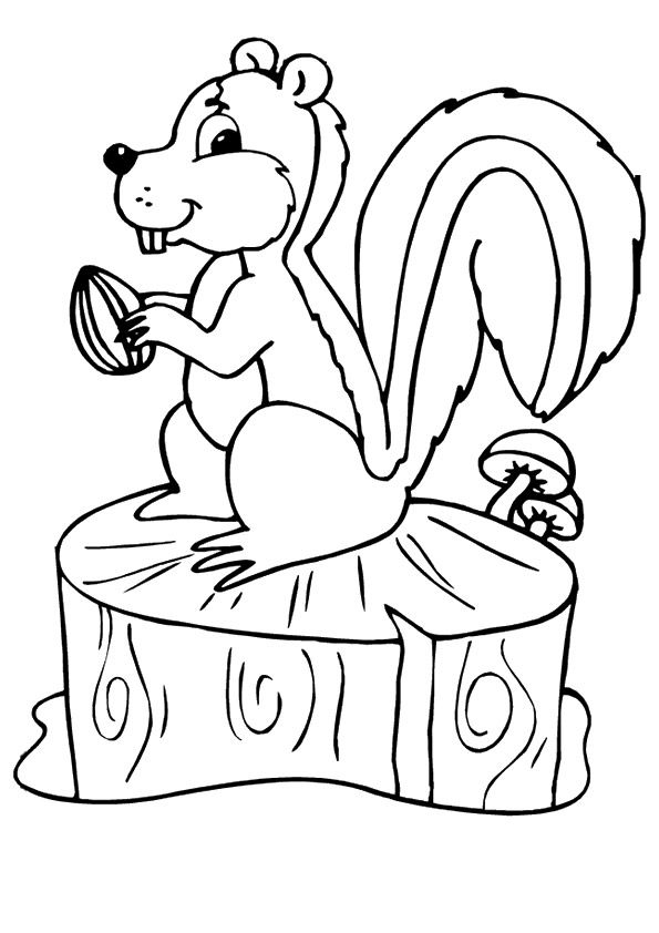 60 Coloring Page Squirrel 6