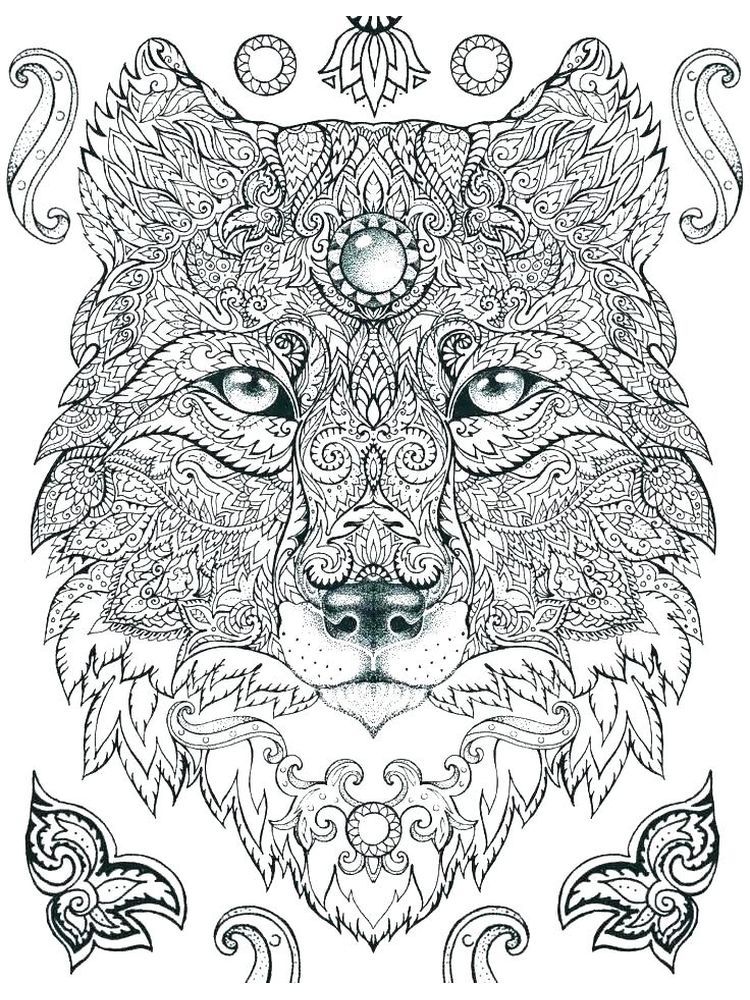 60 Printable Animal Coloring Sheets For Adults 29