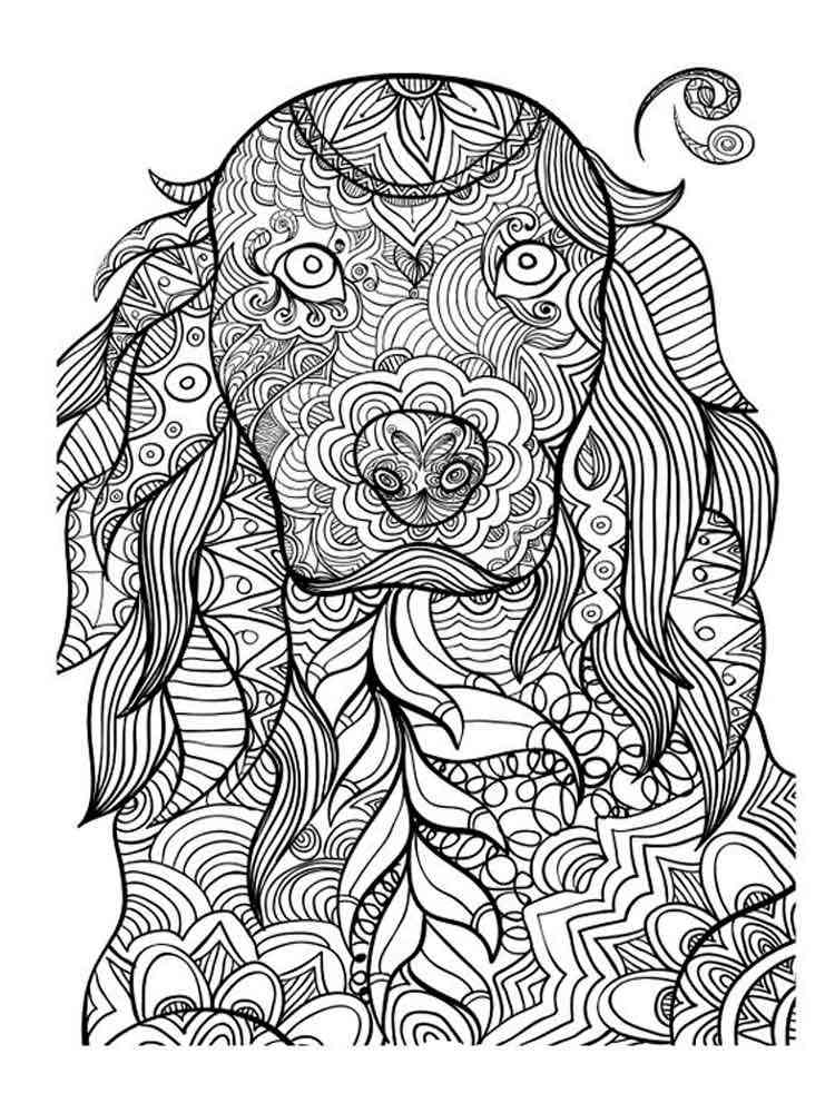 60 Printable Animal Coloring Sheets For Adults 31