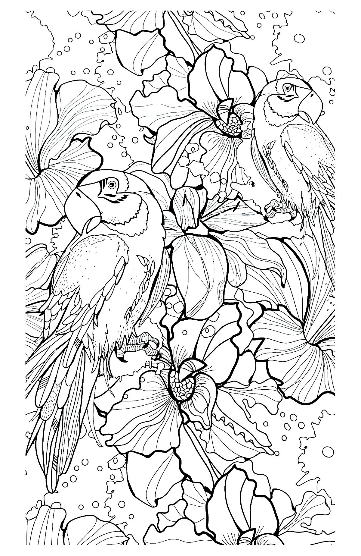 60 Printable Animal Coloring Sheets For Adults 35