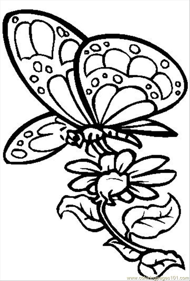 60 Printable Butterfly Coloring Picture 37