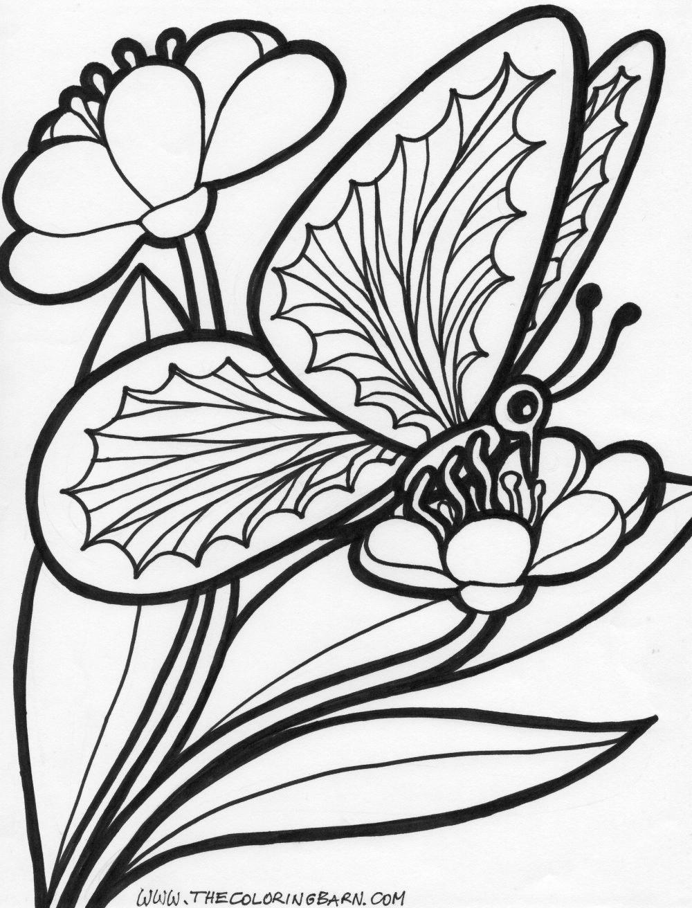 60 Printable Butterfly Coloring Picture 38