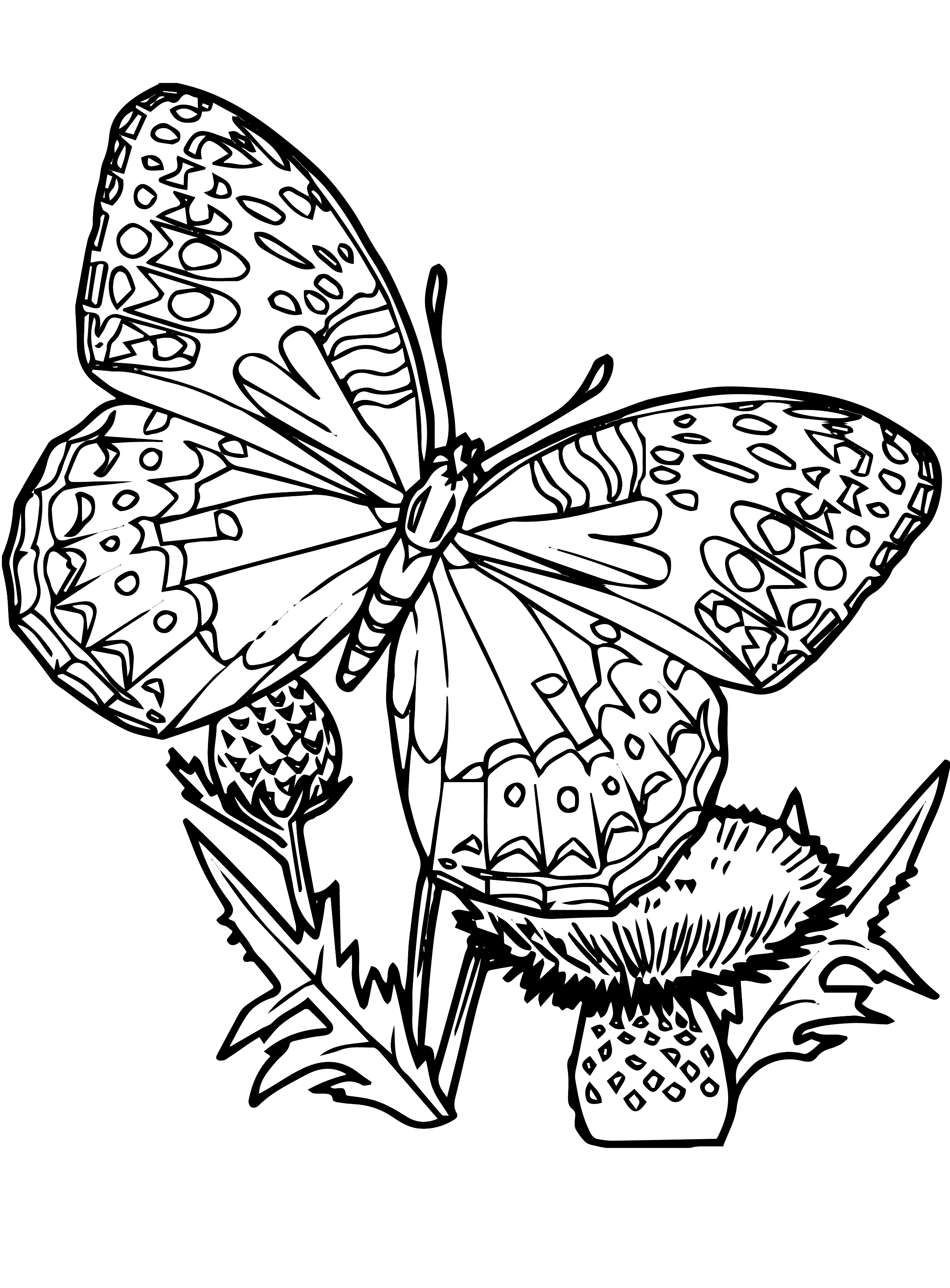 60 Printable Butterfly Coloring Picture 39