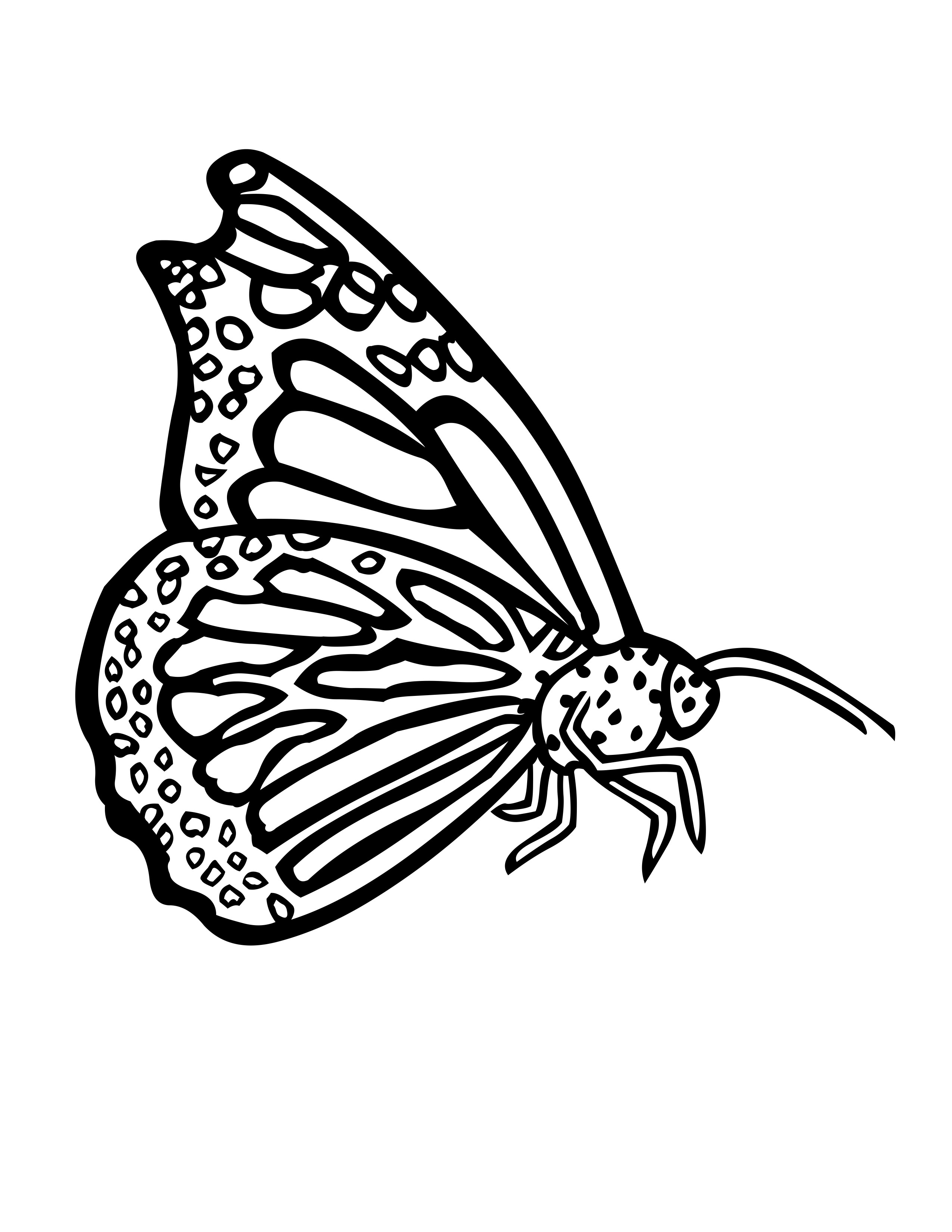 60 Printable Butterfly Coloring Picture 40