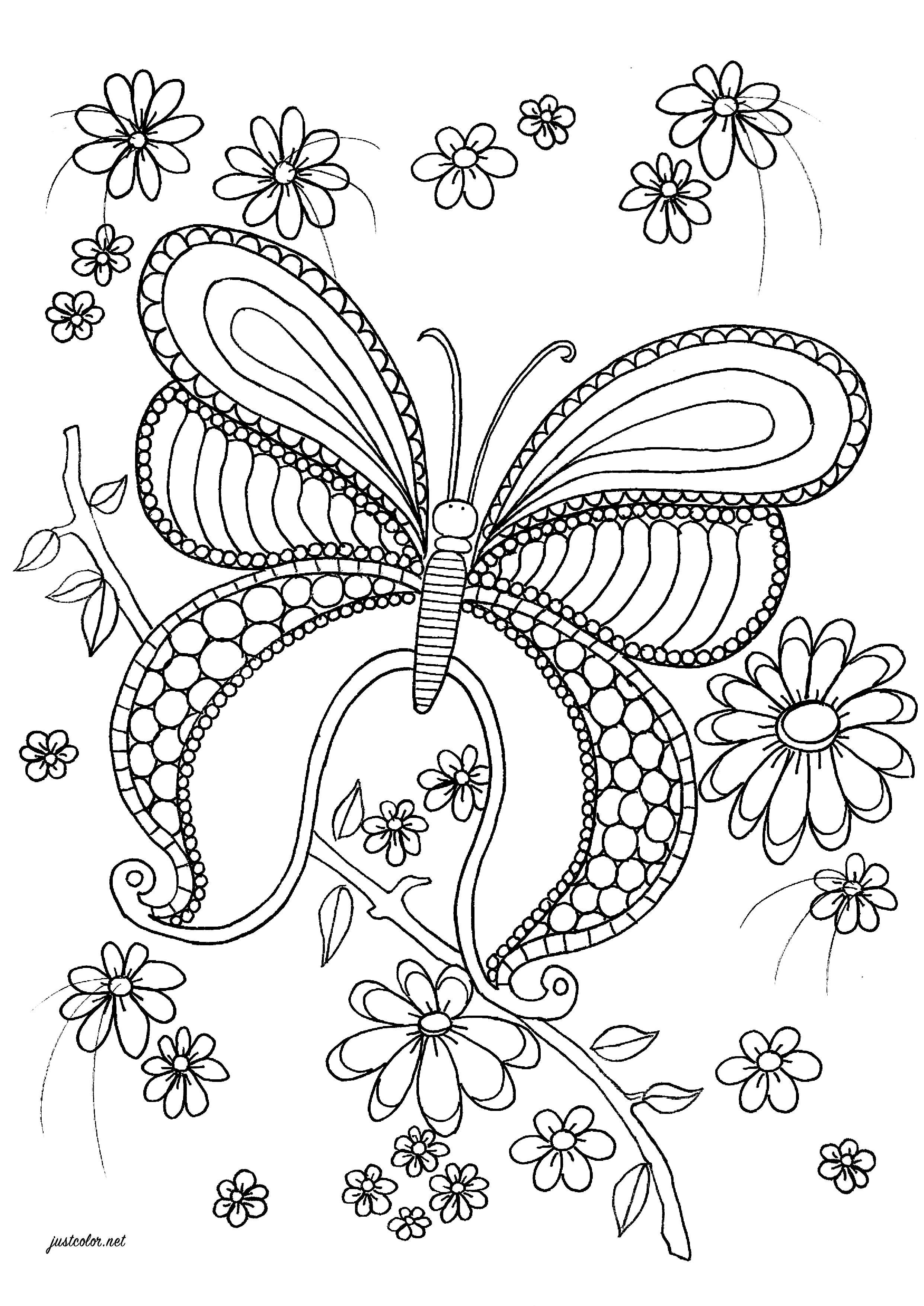 60 Printable Butterfly Coloring Picture 41