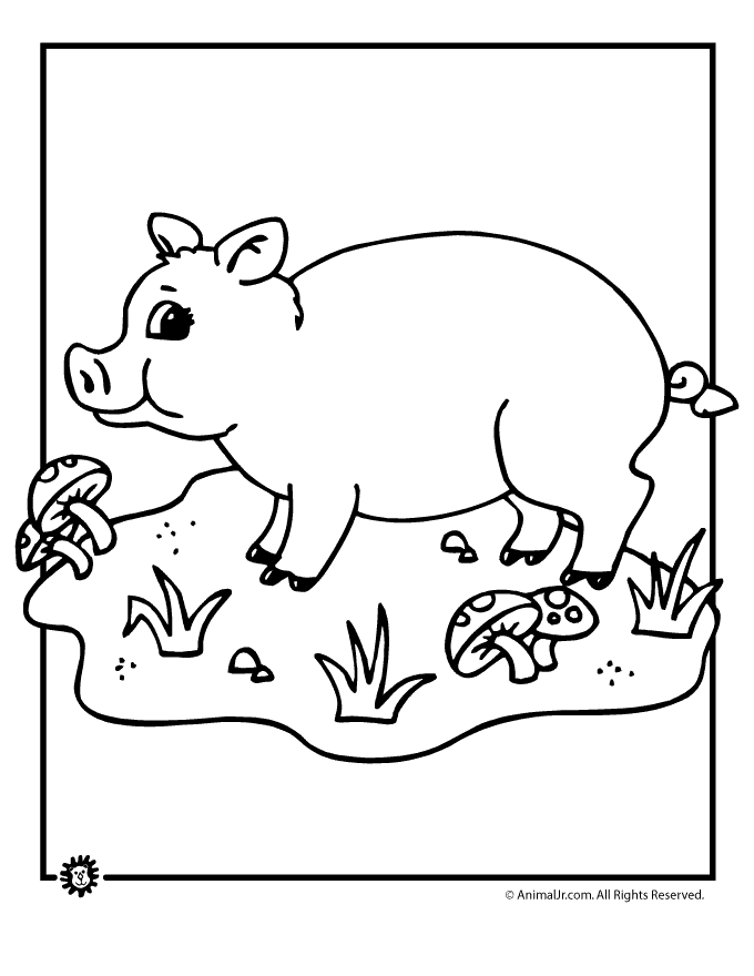 60 Printable Pigs Coloring Sheet 29