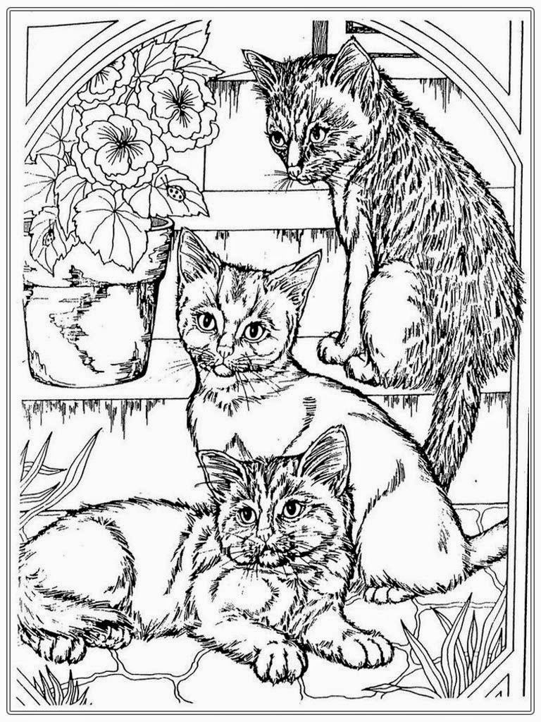 Save 60 Free Cat Coloring Sheets Ideas 21